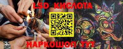 Альфа ПВП Гусев