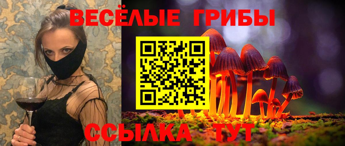 Мелеуз  NBOMe  Кокаин  Вход с VPN  Меф   LSD-25  Канабис  ГАШ 