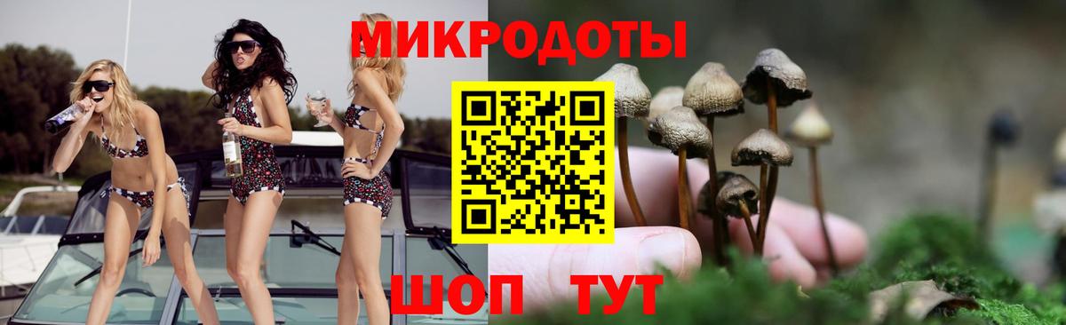 Псилоцибиновые грибы Psilocybe Мелеуз
